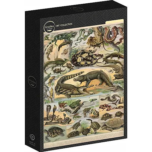 Illustration aus dem Nouveau Larousse Illustré: Reptilien, 1897-1904 1000Teile