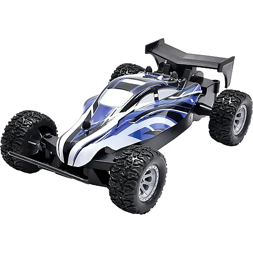 Ferngesteuerter Buggy