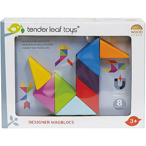 Tender Leaf Toys Magblocs Designer (9Teile)