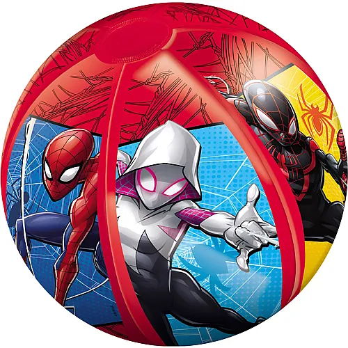 Wasserball 50cm