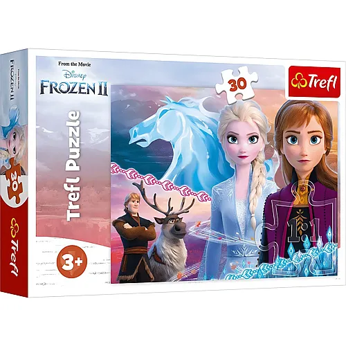 Disney Frozen 2 - 30 Teile