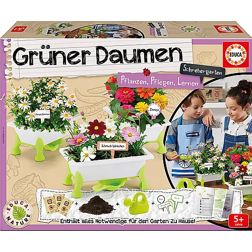 Educa Grner Daumen Pflanzen, Pflegen, Lernen (DE)