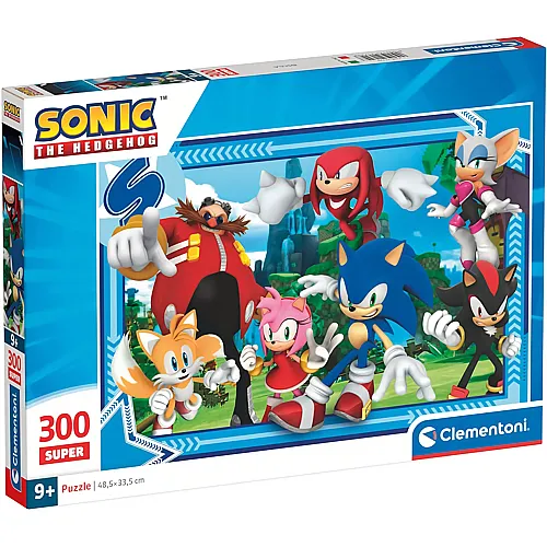 Sonic 300Teile