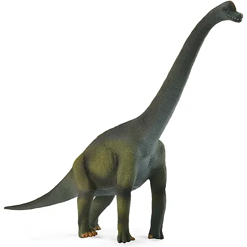 CollectA Prehistoric World Brachiosaurus