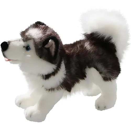 Carl Dick Husky stehend - 25 cm