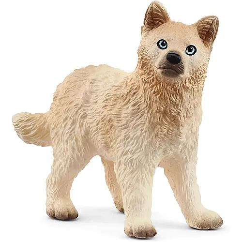 Schleich Wild Life Polarwolf Welpe