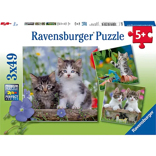 Ravensburger Puzzle Ssse Samtpftchen (3x49)