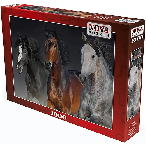 Nova Puzzle Three Noble Hearts - 1000 Teile