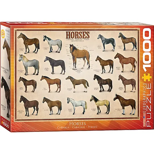 Eurographics Horses (1000Teile)
