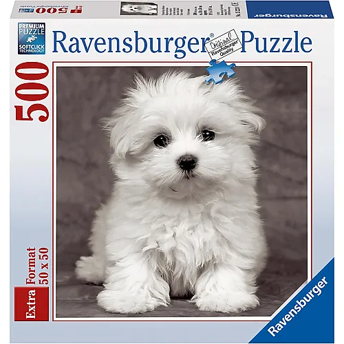 Ravensburger Puzzle Junger Malteserhund - 500 Teile