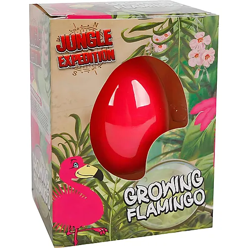 Ei wachsend Flamingo