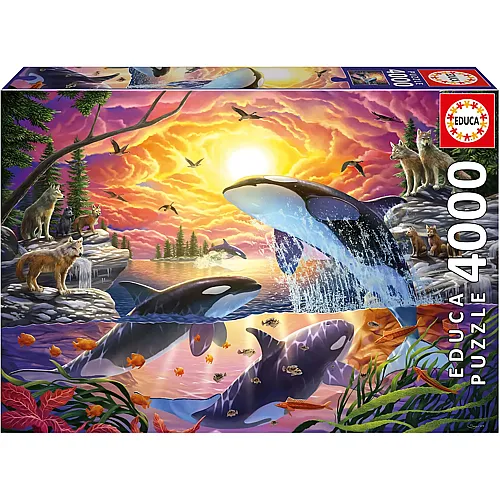 Educa Puzzle Orcas und W�lfe - 4000 Teile