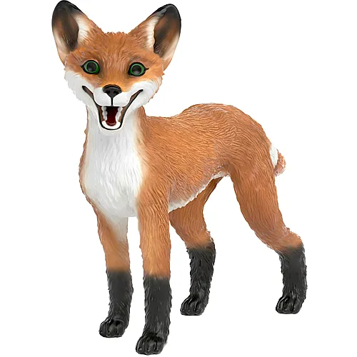 Rabbat der Fuchs