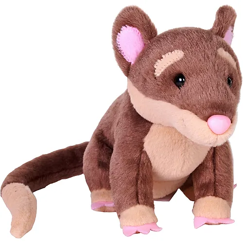 Wild Republic Rainforest Vieraugenbeutelratte - 15 cm