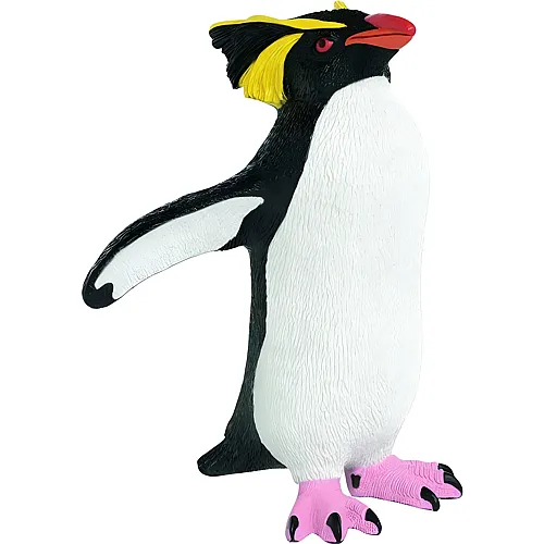 Felsenpinguin