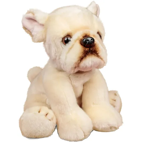 Franz�sische Bulldogge 23cm