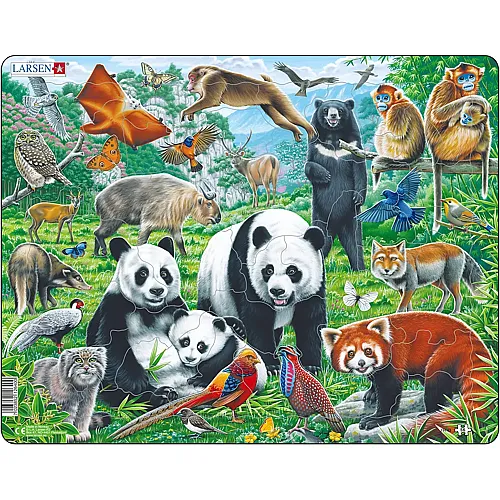 Larsen Puzzle Pandab�ren-Familie auf einem China-Berg-Plateau - 56 Teile