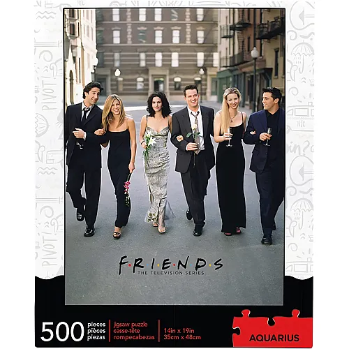 Friends 500Teile