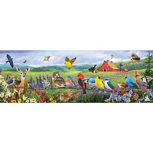 SunsOut Puzzle Chris Vest Eastern Birds - 500 Teile