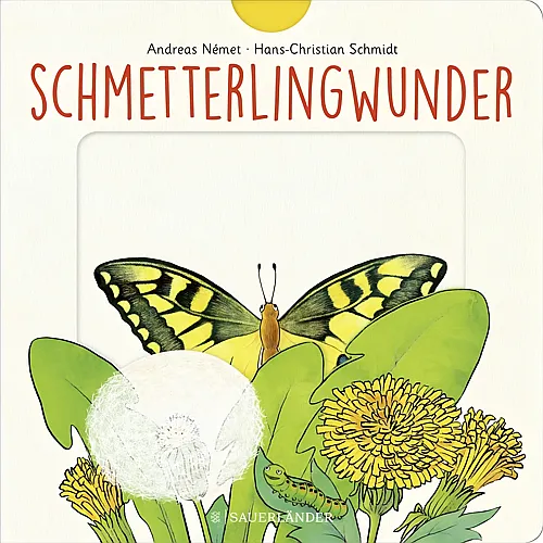 S. Fischer Schmetterlingwunder