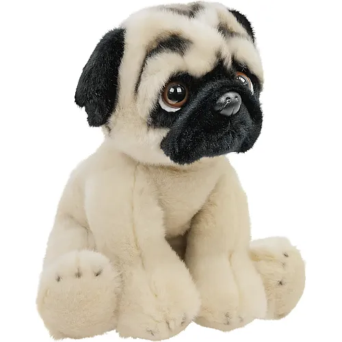 Teddys Rothenburg Mops - 30 cm