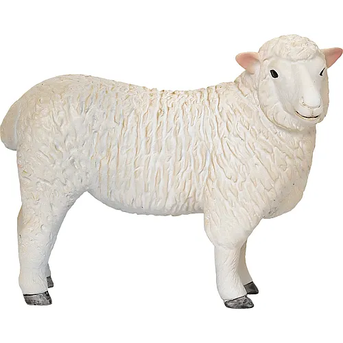 Mojo Farmland Romney Sheep Ewe