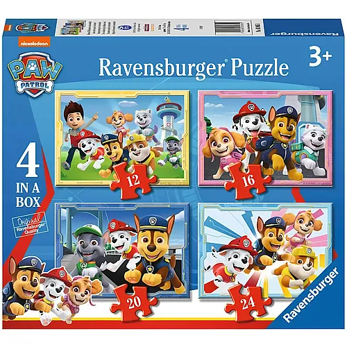 Paw Patrol 12Teile