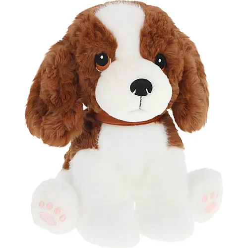 Hund Spaniel 23cm