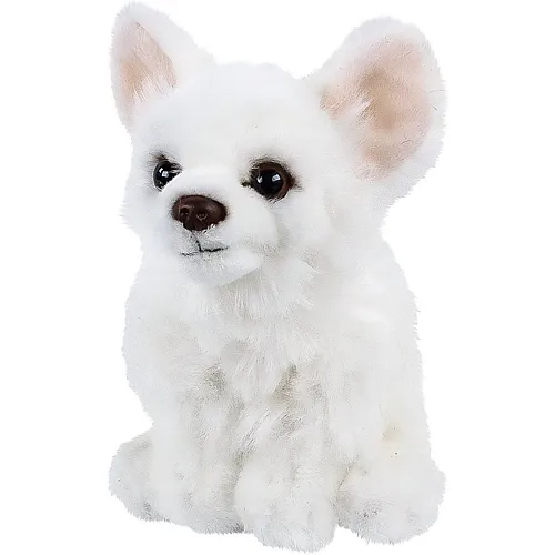 Teddys Rothenburg Chihuahua sitzend Weiss - 17 cm