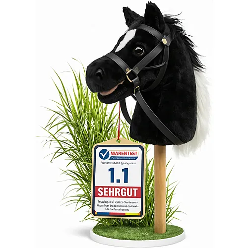 Zenovia Tournament-ready Hobby Horse Black
