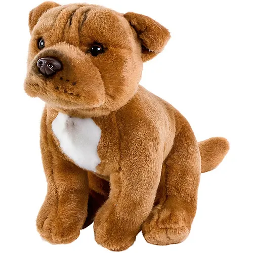 Pitbull American Staffordshire Terrier sitzend - 30 cm