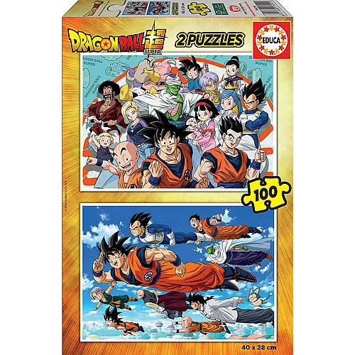 2in1 Dragonball Super 100Teile