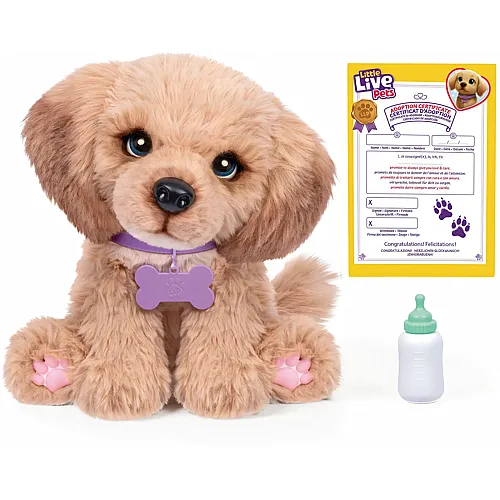 Moose Toys My Really Real Dackel Live Pets, interaktiv, Zubeh�r,