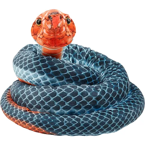 Blaue Korallenschlange - 180 cm