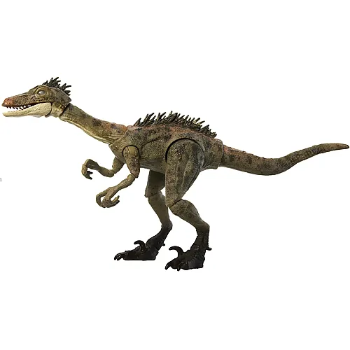 Mattel Jurassic World Hammond Collection Trodon
