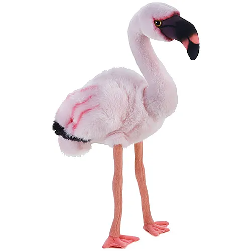 Lelly Plsch National Geographic Flamingo (45cm)