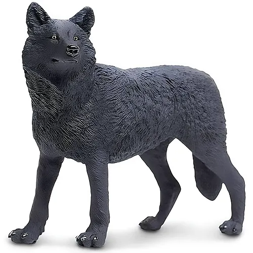 Schwarzer Wolf