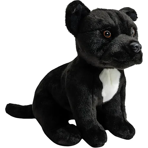 Stafford Bullterrier Schwarz - 32 cm