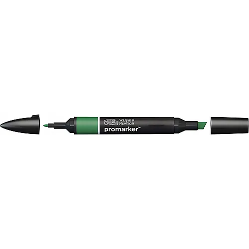 Winsor & Newton Promarker Stift mit 2 Spitzen Pinie