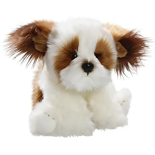 Carl Dick Shih Tzu sitzend - 24 cm