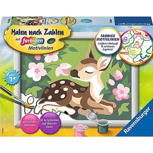 Ravensburger Malen nach Zahlen Farbige Motivlinien Kleines Reh