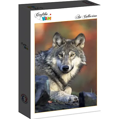 Grafika Puzzle Art Collection Grafika Kids Wolf - 104 Teile