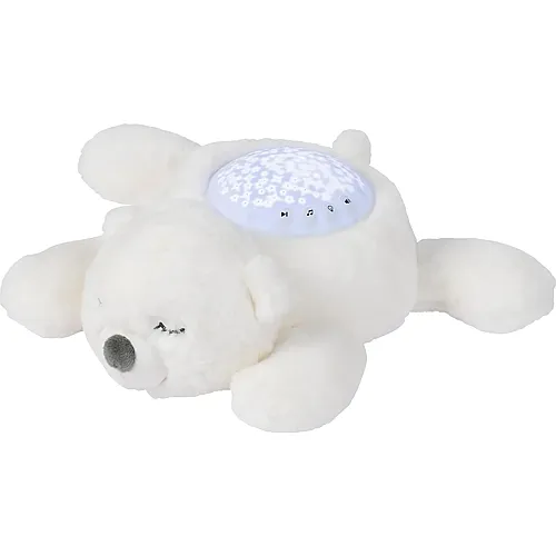 LED-Nachtlicht Koala-B�r, Sternhimmel-Projektor 26cm