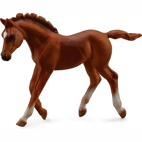 CollectA Horse Country Vollblut-Fohlen