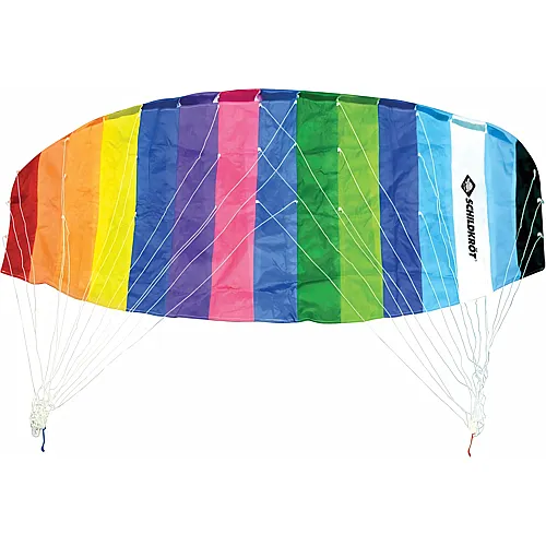Schildkr�t Dual Line Sport Kite 2.0