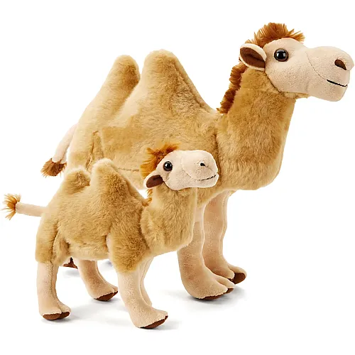 Zappi Co Kamel mit Jungtier