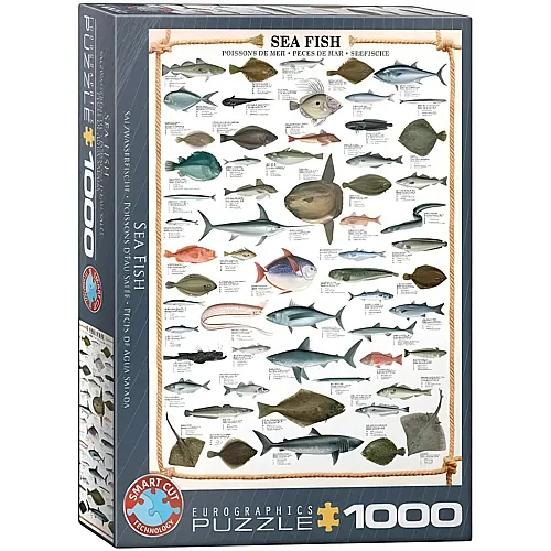 Die Fische 1000Teile