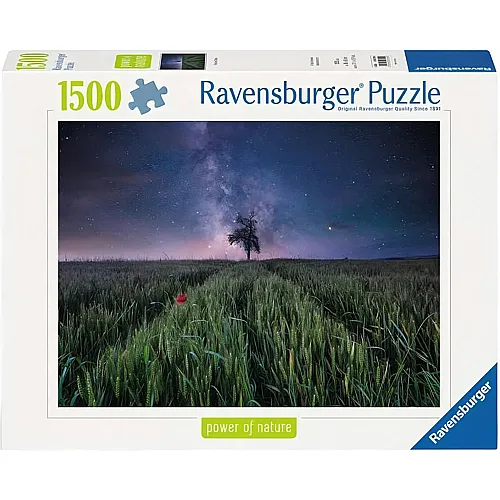 Nachthimmel �ber dem Kornfeld 1500Teile