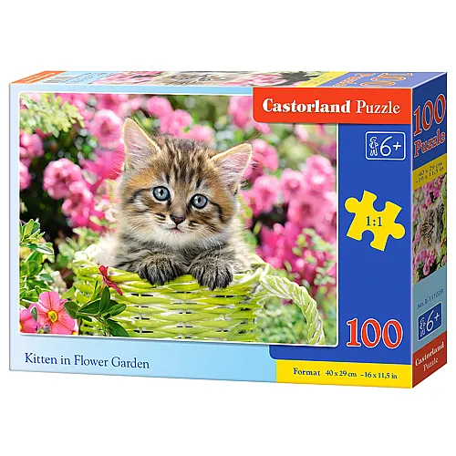 Castorland Puzzle Kitten in Flower Garden - 100 Teile
