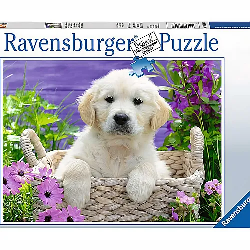Ravensburger Puzzle Ssser Golden Retriever (500Teile)